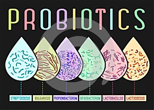 Probiotics Types Poster photo