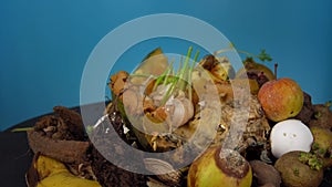 The problem of food waste disposal, composting spoiled vegetables.