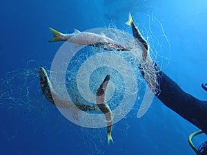 The problem. `Ghost Fishing` is what fishing gear does when it has been lost, dumped or abandoned. Nets, long lines or fish traps.