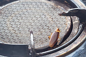 The problem in the house because of cockroaches living in the kitchen