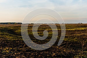 Spring fires in the fields