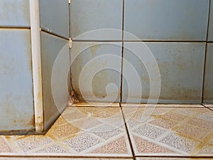 Problem of stubborn yellow stains in toilet that are very difficult to remove.