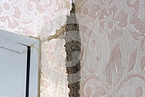 Problem of termites destroying the house
