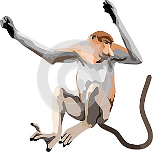 Proboscis Monkey Mammal Wild Animal Vector