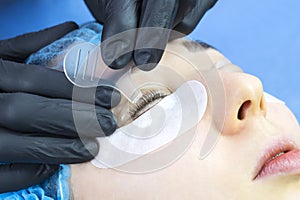 Procedure for eyelash extensions, eyelashes lamination.