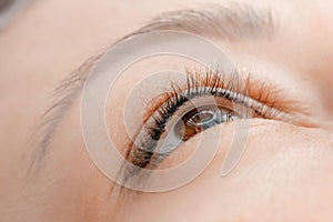 Process applying permanent makeup tattoo on eyelash arrows woman in beautician salon, top view