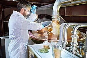 Process of Beer Fermentation photo
