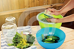 Process of canning the crop of cucumbers in prepared jars