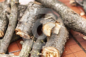 The process of chopping an ax with wooden branches for a fire