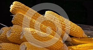 Process of cooking natural yellow corn cobs in saucepan at summer outdoor food market - close up view. Professional