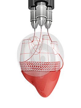 Process of creating human hearts using 3D printer