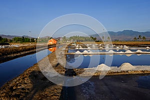 The process of crystallization of sea water into salt in the traditional way in Indonesia