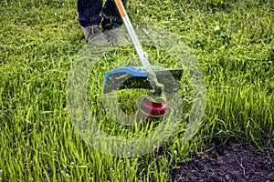 Process of cutting green grass with trimmer in garden.