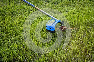 Process of cutting green grass with trimmer in garden. Rotating head with red fishing line cuts grass. Gasoline powered mower.