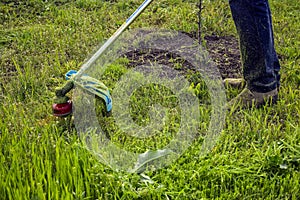 Process of cutting green grass with trimmer in garden. Rotating head with red fishing line cuts grass. Gasoline powered mower.