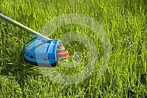 Process of cutting green grass with trimmer. Rotating head with red fishing line cuts grass. Gasoline powered mower. Close-up.