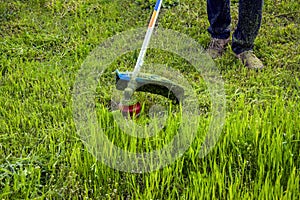 Process of cutting green grass with trimmer. Rotating head with red fishing line cuts grass. Gasoline powered mower. Close-up.
