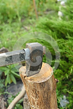 The process of cutting wood with a cleaver. Axe in the log