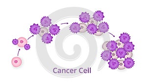 Process of development of cancer cells