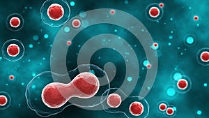 Process division of cell. 3D illustration