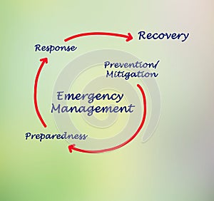 Process of emergency management