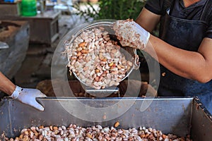 The process of fermenting fresh cocoa beans in a tank