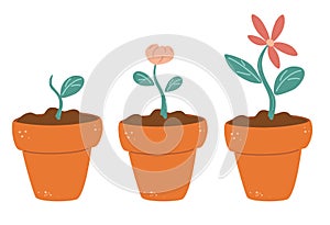 Process of flower growth. Vector image of three stages of growth of a beautiful flower in a brown pot. Plant growing stages.