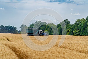 Process of gathering a ripe crop from the fields. Combine harvester in action on wheat field. Closeup