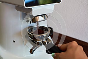 The process of grinding grain into holder for making espresso on coffee machine. Barista job at the coffee shop.