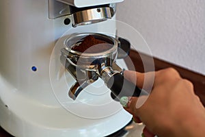 The process of grinding grain into holder for making espresso on coffee machine. Barista job at the coffee shop.