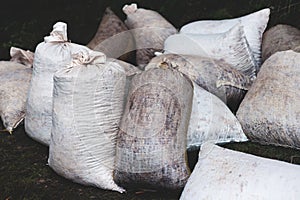 Process of harvesting collecting olives in sacks, bags sack full of fresh harvested olives, collected on net, dark and green