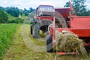 The process of harvesting hay for cattle, a tractor making bales in the field, old machinery