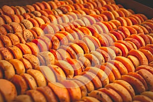 The process of home cooking dried fruits in an electric dryer