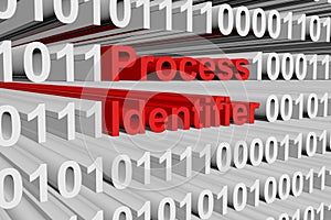 Process identifier