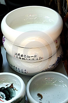 Porcelain pots in rows photo