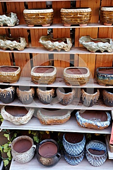 Porcelain pots in rows photo