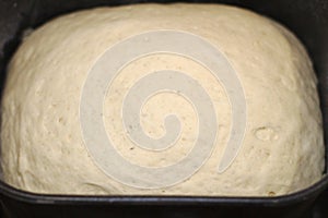 The process of making bread at home. Dough in bread maker