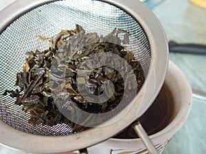 Process of making a fresh green tea