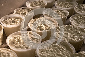 Process of making fresh white soft ricotta whey cheese on small cheese farm in Parma, Italy