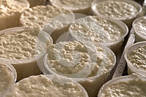 Process of making fresh white soft ricotta whey cheese on small cheese farm in Parma, Italy