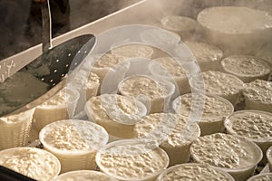 Process of making fresh white soft ricotta whey cheese on small cheese farm in Parma, Italy