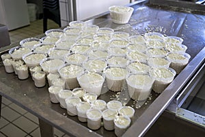 Process of making fresh white soft ricotta whey cheese on small cheese farm in Parma, Italy
