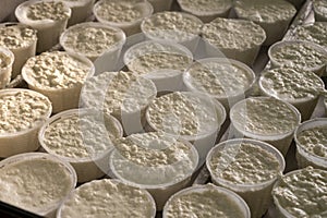 Process of making fresh white soft ricotta whey cheese on small cheese farm in Parma, Italy