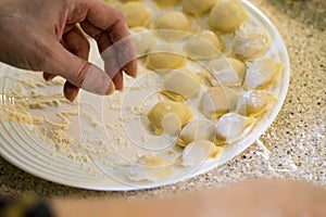 The process of making homemade dumplings. Ready raw dumplings in flour on the plate