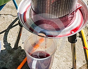 The process of making homemade grape wine. The operation of a hydraulic press to obtain grape juice for fermentation