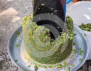 The process of making homemade grape wine. The operation of a hydraulic press to obtain grape juice for fermentation. Close-up of