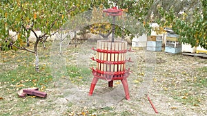 The process of making homemade grape wine. Press for squeezing grapes against the backdrop of a home garden and beehives