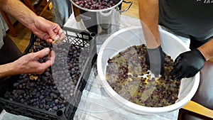 The process of making homemade wine.