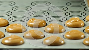 Process of making macaron macaroon, french dessert, squeezing the dough form cooking bag.