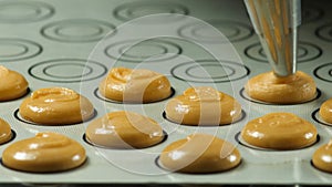 Process of making macaron macaroon, squeezing the dough form cooking bag. Food industry, mass or volume production